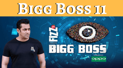 Bigg Boss Ep 41 10th Nov 2017 HDTV Full Movie